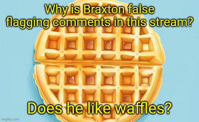 https://imgflip.com/user/Needlem0use. Is Braxton | Why is Braxton false flagging comments in this stream? Does he like waffles? | image tagged in waffle | made w/ Imgflip meme maker