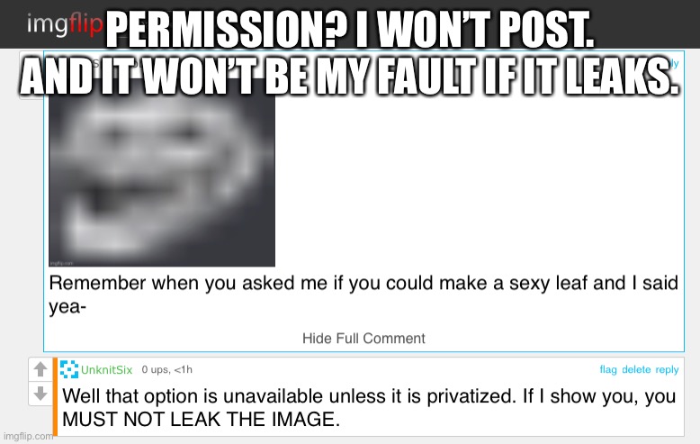 PERMISSION? I WON’T POST. AND IT WON’T BE MY FAULT IF IT LEAKS. | made w/ Imgflip meme maker