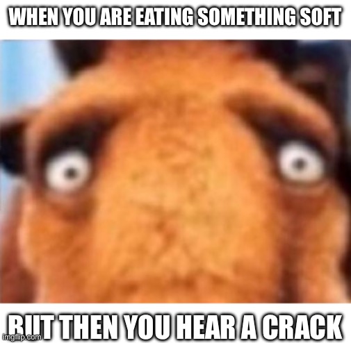 distressed manfred | WHEN YOU ARE EATING SOMETHING SOFT; BUT THEN YOU HEAR A CRACK | image tagged in distressed manfred | made w/ Imgflip meme maker