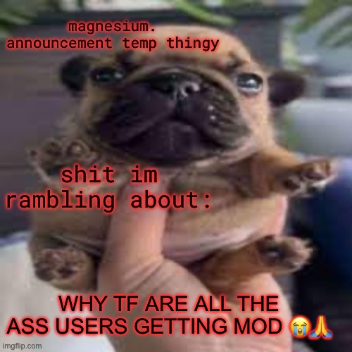 LIEK WHAT | WHY TF ARE ALL THE ASS USERS GETTING MOD 😭🙏 | image tagged in pug temp | made w/ Imgflip meme maker