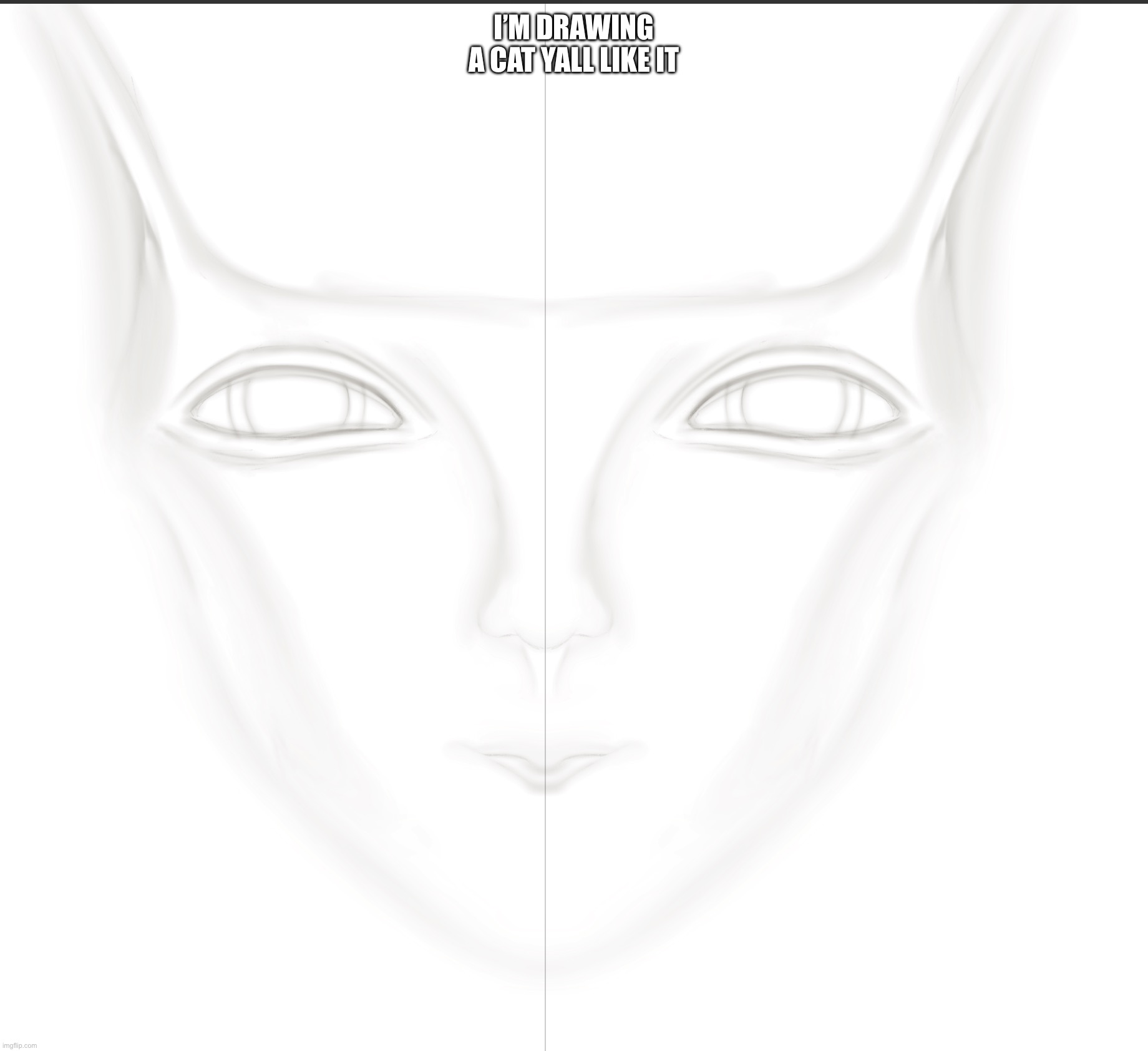 I’M DRAWING A CAT YALL LIKE IT | made w/ Imgflip meme maker