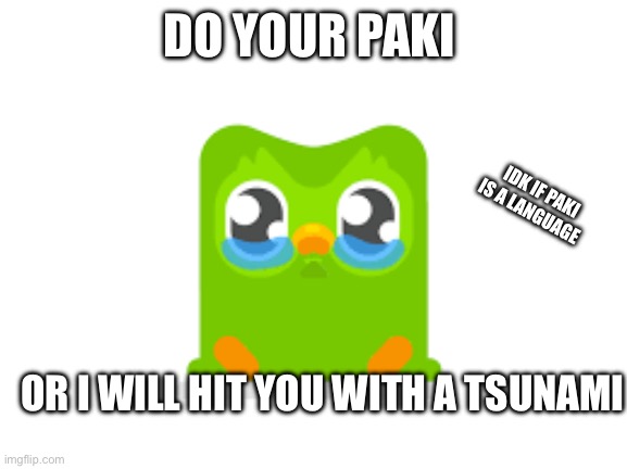 DO YOUR PAKI; IDK IF PAKI IS A LANGUAGE; OR I WILL HIT YOU WITH A TSUNAMI | image tagged in duolingo | made w/ Imgflip meme maker