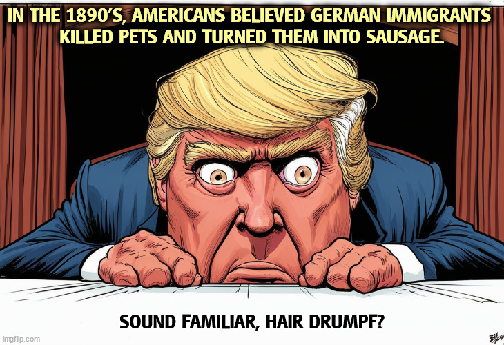 IN THE 1890'S, AMERICANS BELIEVED GERMAN IMMIGRANTS 
KILLED PETS AND TURNED THEM INTO SAUSAGE. SOUND FAMILIAR, HAIR DRUMPF? | image tagged in trump,german,immigrants,pets,sausage | made w/ Imgflip meme maker