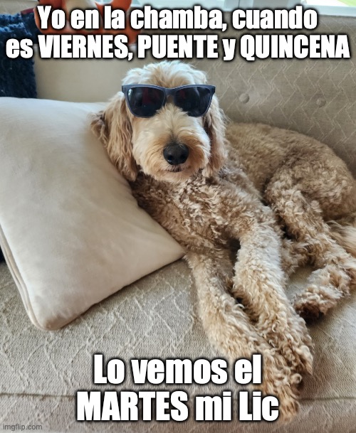 Cool | Yo en la chamba, cuando es VIERNES, PUENTE y QUINCENA; Lo vemos el MARTES mi Lic | image tagged in cool | made w/ Imgflip meme maker