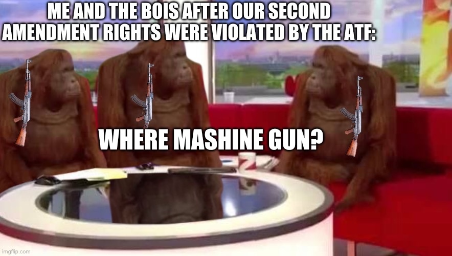 where monkey | ME AND THE BOIS AFTER OUR SECOND AMENDMENT RIGHTS WERE VIOLATED BY THE ATF:; WHERE MASHINE GUN? | image tagged in where monkey | made w/ Imgflip meme maker