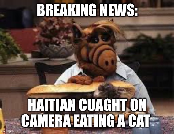 Alf eats a cat | BREAKING NEWS:; HAITIAN CUAGHT ON CAMERA EATING A CAT | image tagged in alf eats a cat | made w/ Imgflip meme maker