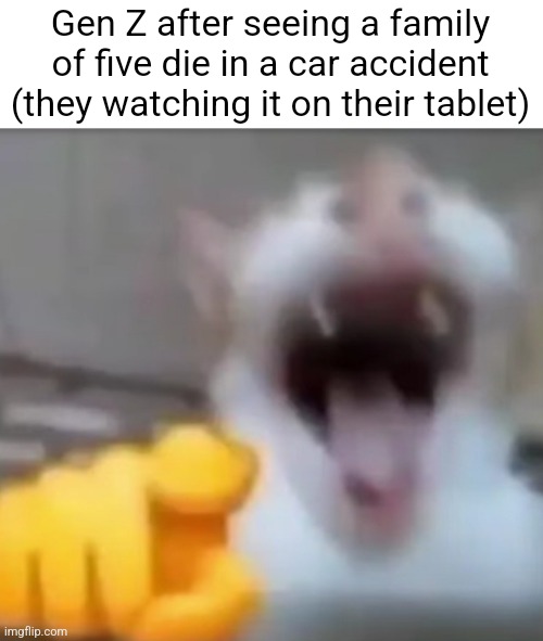 Bwahahaha | Gen Z after seeing a family of five die in a car accident (they watching it on their tablet) | image tagged in cat pointing and laughing,gen z,sad but true,funny,laughing cat,youtube | made w/ Imgflip meme maker