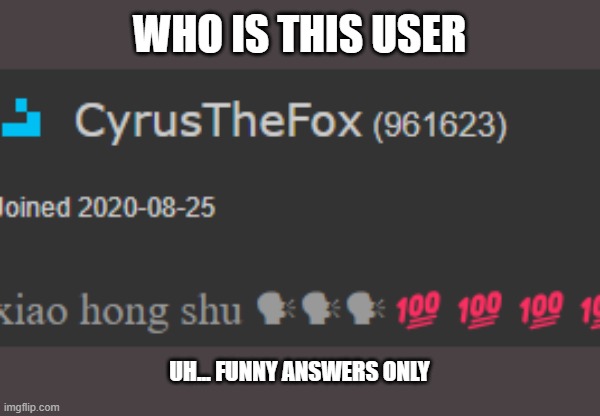 WHO IS THIS USER; UH... FUNNY ANSWERS ONLY | made w/ Imgflip meme maker