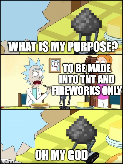 What is my purpose | TO BE MADE INTO TNT AND FIREWORKS ONLY | image tagged in what is my purpose | made w/ Imgflip meme maker