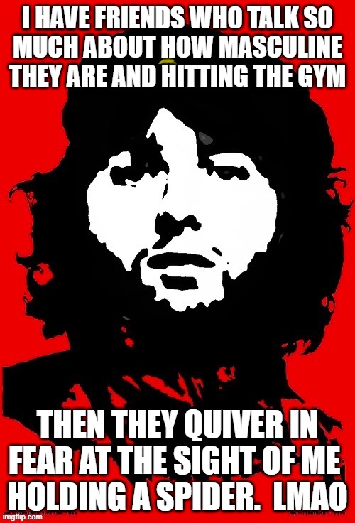 Communist Mazy | I HAVE FRIENDS WHO TALK SO
MUCH ABOUT HOW MASCULINE THEY ARE AND HITTING THE GYM; THEN THEY QUIVER IN FEAR AT THE SIGHT OF ME 
HOLDING A SPIDER.  LMAO | image tagged in communist mazy | made w/ Imgflip meme maker