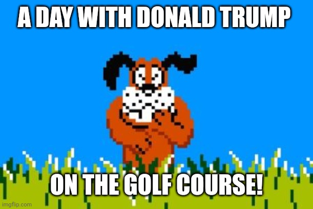 A Second Attempt at Trump's Life? | A DAY WITH DONALD TRUMP; ON THE GOLF COURSE! | image tagged in duck hunt dog | made w/ Imgflip meme maker