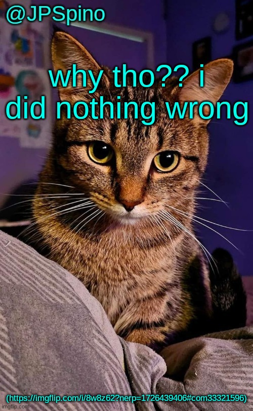 JPSpino's cat temp | why tho?? i did nothing wrong; (https://imgflip.com/i/8w8z62?nerp=1726439406#com33321596) | image tagged in jpspino's cat temp | made w/ Imgflip meme maker