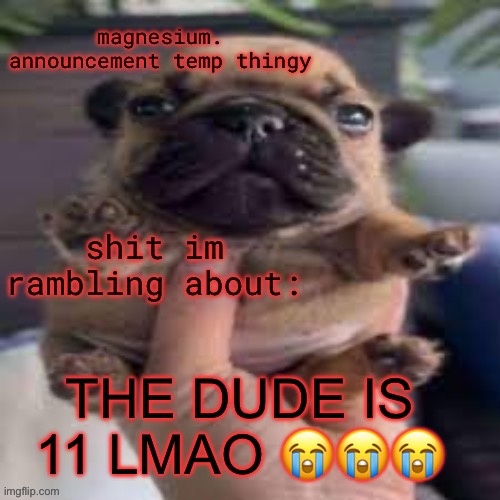 lgbbq stream average age just dropped | THE DUDE IS 11 LMAO 😭😭😭 | made w/ Imgflip meme maker