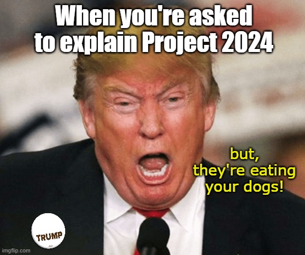 but, they're eating your dogs! When you're asked to explain Project 2024 | made w/ Imgflip meme maker