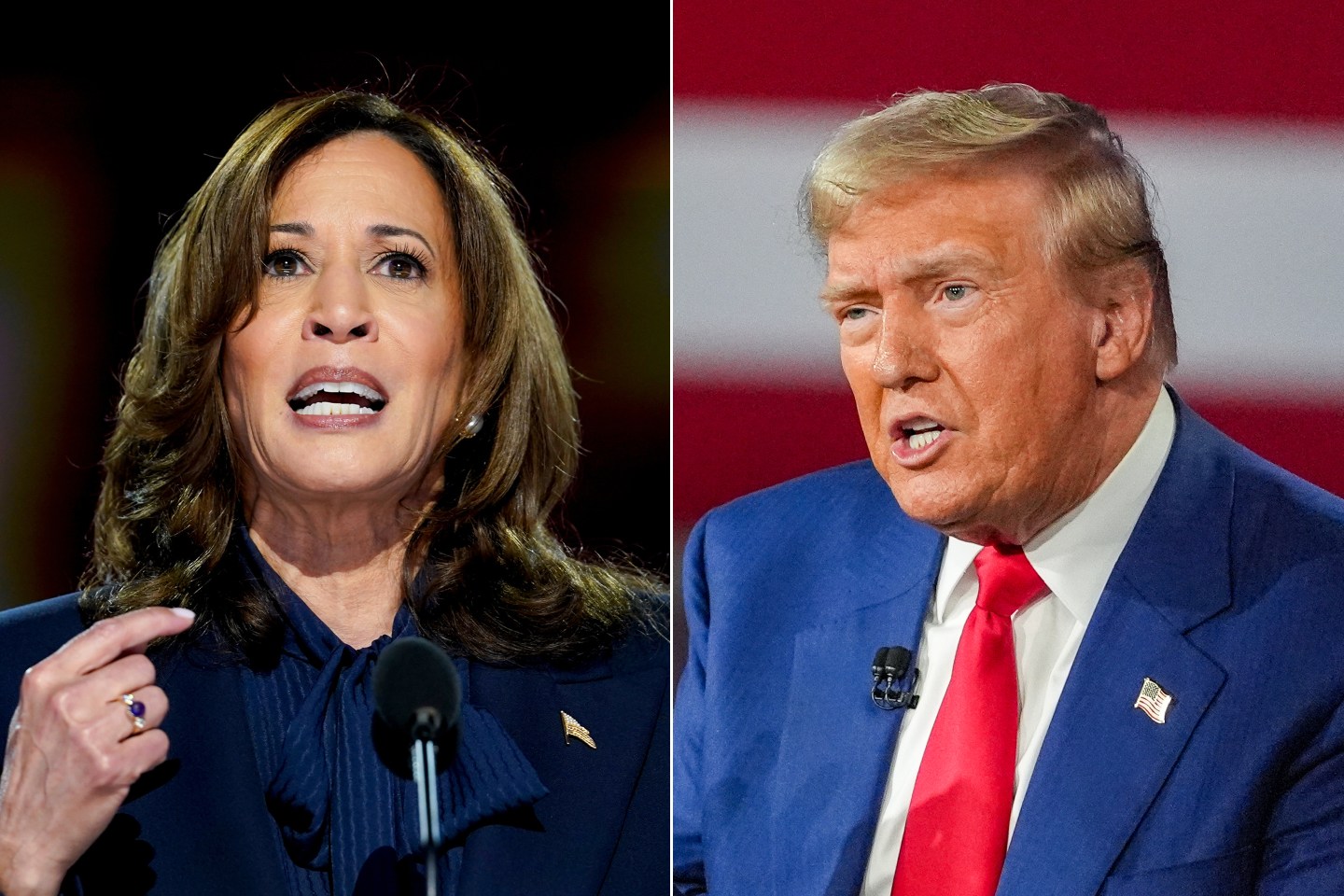 Kamala Harris and Donald Trump Blank Meme Template