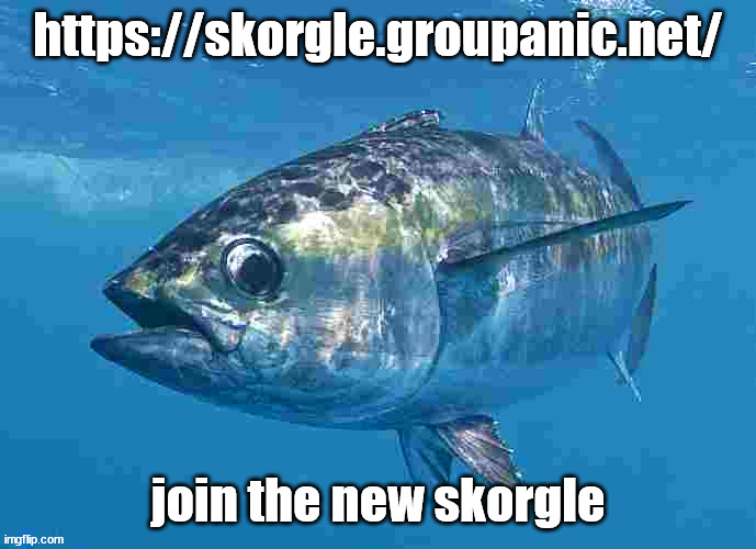 https://skorgle.groupanic.net/ | https://skorgle.groupanic.net/; join the new skorgle | image tagged in tuma fibsh | made w/ Imgflip meme maker