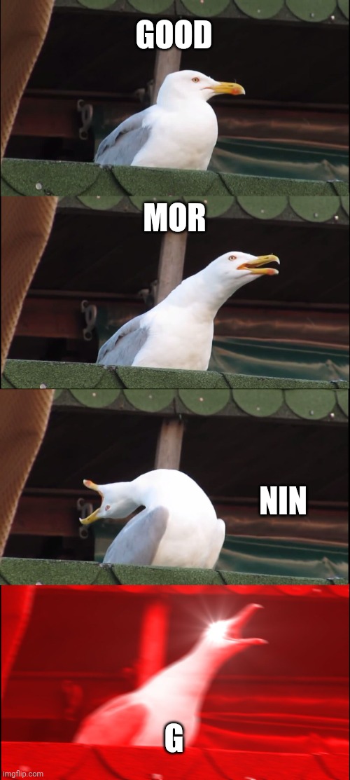 Inhaling Seagull Meme | GOOD; MOR; NIN; G | image tagged in memes,inhaling seagull | made w/ Imgflip meme maker