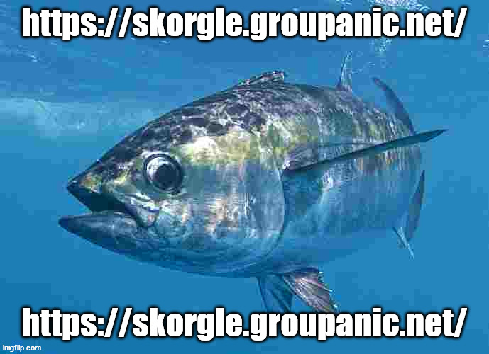 https://skorgle.groupanic.net/ | https://skorgle.groupanic.net/; https://skorgle.groupanic.net/ | image tagged in tuma fibsh | made w/ Imgflip meme maker