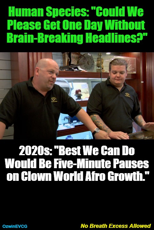 No Essential Breathing Room Until We Can Create It and Keep It | Human Species: "Could We 

Please Get One Day Without 

Brain-Breaking Headlines?"; 2020s: "Best We Can Do 

Would Be Five-Minute Pauses 

on Clown World Afro Growth."; No Breath Excess Allowed; OzwinEVCG | image tagged in world occupied,human species,2020s,pawn stars,real talk,the struggle | made w/ Imgflip meme maker