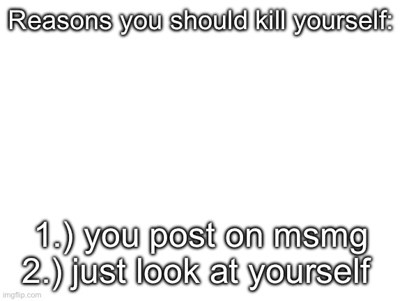 Blank White Template | Reasons you should kill yourself:; 1.) you post on msmg
2.) just look at yourself | image tagged in blank white template | made w/ Imgflip meme maker