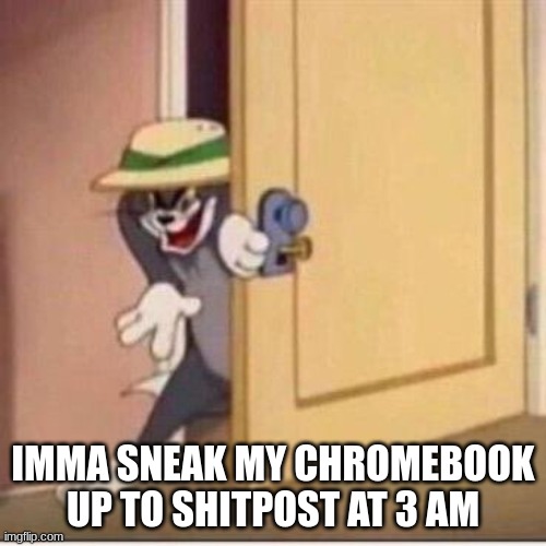 Sneaky tom | IMMA SNEAK MY CHROMEBOOK UP TO SHITPOST AT 3 AM | image tagged in sneaky tom | made w/ Imgflip meme maker