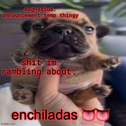 pug temp | enchiladas 👅👅 | image tagged in pug temp | made w/ Imgflip meme maker