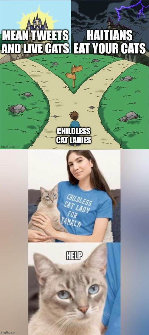 Poor cat | image tagged in childless cat ladies,are the worst,should not be allowed to own cats | made w/ Imgflip meme maker