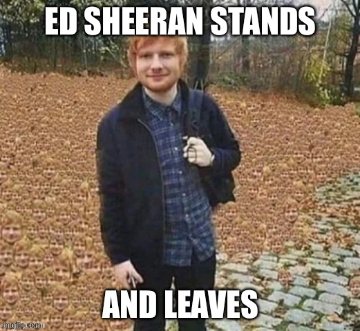 Ed sheeran: leaves/leaves pun | ED SHEERAN STANDS; AND LEAVES | image tagged in ed sheeran,outstanding move,leaves,autumn leaves | made w/ Imgflip meme maker