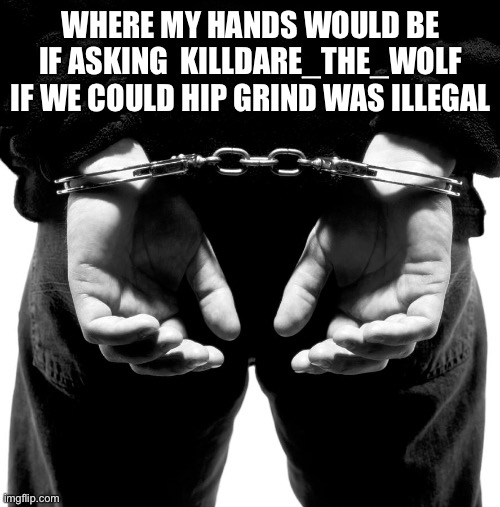 Insert my death sentence here | WHERE MY HANDS WOULD BE IF ASKING  KILLDARE_THE_WOLF IF WE COULD HIP GRIND WAS ILLEGAL | made w/ Imgflip meme maker