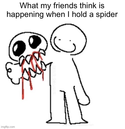 What my friends think is happening when I hold a spider | made w/ Imgflip meme maker