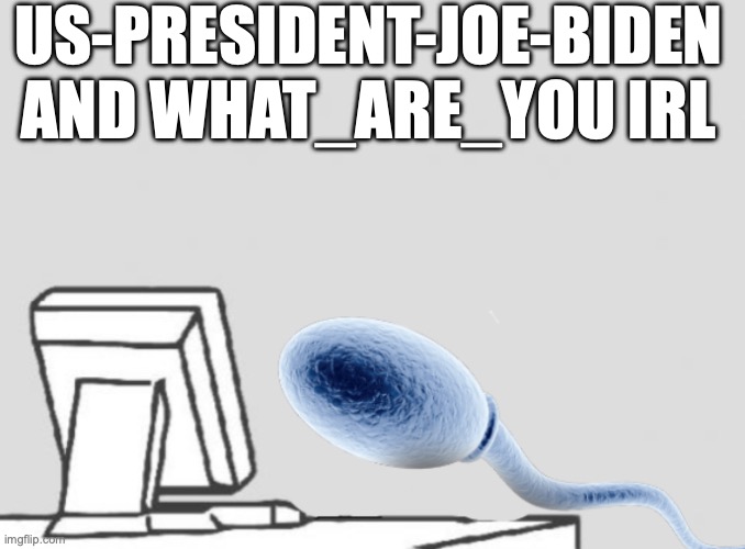 Sperm sitting at computer | US-PRESIDENT-JOE-BIDEN AND WHAT_ARE_YOU IRL | image tagged in sperm sitting at computer | made w/ Imgflip meme maker