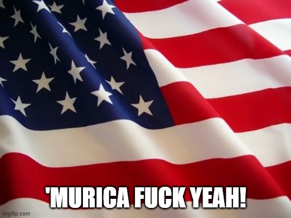 American flag | 'MURICA FUCK YEAH! | image tagged in american flag | made w/ Imgflip meme maker