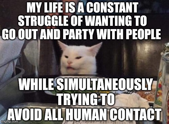 Smudge that darn cat | MY LIFE IS A CONSTANT STRUGGLE OF WANTING TO GO OUT AND PARTY WITH PEOPLE; WHILE SIMULTANEOUSLY TRYING TO AVOID ALL HUMAN CONTACT | image tagged in smudge that darn cat | made w/ Imgflip meme maker