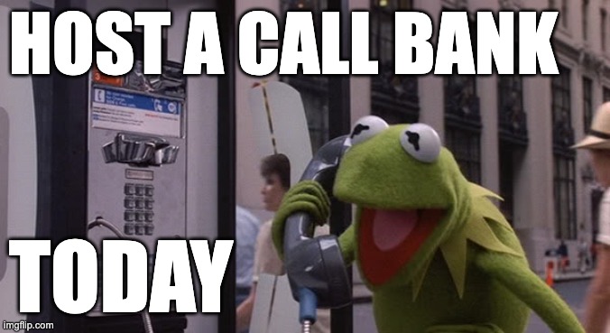 Kermit Phone | HOST A CALL BANK; TODAY | image tagged in kermit phone | made w/ Imgflip meme maker