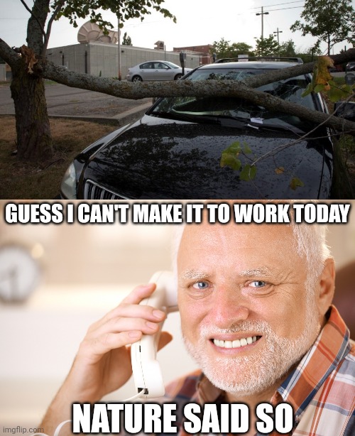 THE BRIGHT SIDE IS YOU GET TO TAKE THE DAY OFF! | GUESS I CAN'T MAKE IT TO WORK TODAY; NATURE SAID SO | image tagged in hide the pain harold phone,tree,work | made w/ Imgflip meme maker