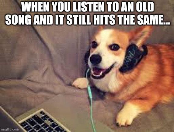 Sounds good! | WHEN YOU LISTEN TO AN OLD SONG AND IT STILL HITS THE SAME... | image tagged in corgi headphones,corgi,headphones,dog,song,memes | made w/ Imgflip meme maker