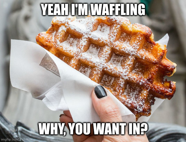 HALT DIE WAFFEL | YEAH I'M WAFFLING; WHY, YOU WANT IN? | image tagged in halt die waffel | made w/ Imgflip meme maker