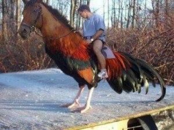 Horsecock | image tagged in horsecock | made w/ Imgflip meme maker