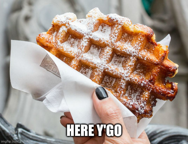 HALT DIE WAFFEL | HERE Y'GO | image tagged in halt die waffel | made w/ Imgflip meme maker