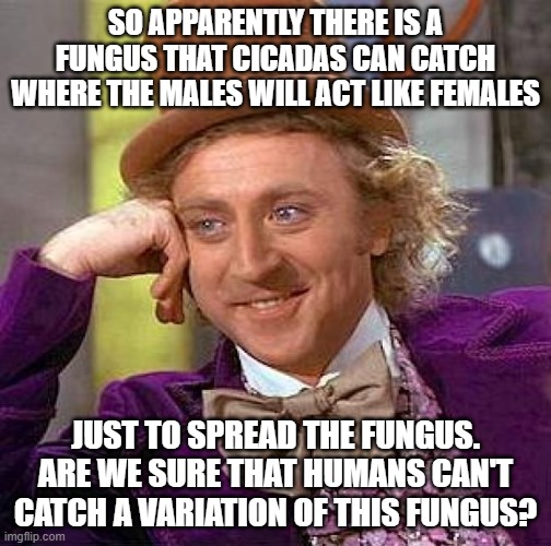 :3 | SO APPARENTLY THERE IS A FUNGUS THAT CICADAS CAN CATCH WHERE THE MALES WILL ACT LIKE FEMALES; JUST TO SPREAD THE FUNGUS.
ARE WE SURE THAT HUMANS CAN'T CATCH A VARIATION OF THIS FUNGUS? | image tagged in memes,creepy condescending wonka | made w/ Imgflip meme maker