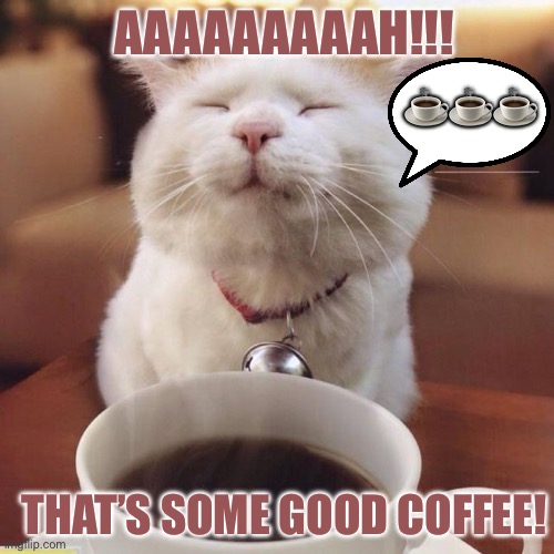 Coffee? | AAAAAAAAAH!!! ☕️☕️☕️; THAT’S SOME GOOD COFFEE! | image tagged in coffee | made w/ Imgflip meme maker