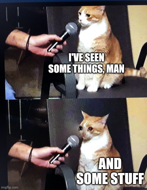 Cat interview crying | I'VE SEEN SOME THINGS, MAN AND SOME STUFF | image tagged in cat interview crying | made w/ Imgflip meme maker