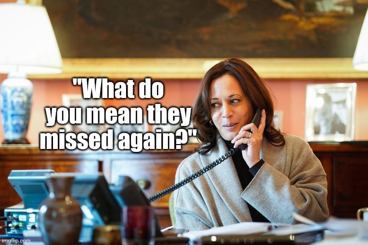 Now THIS is a phone call that is just getting old, right Dems? Triggered liberals indeed! | "What do you mean they missed again?" | image tagged in assassination,kamala harris,crying democrats,stupid liberals,triggered liberal,dangerous | made w/ Imgflip meme maker