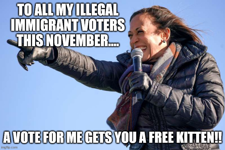 Those votes are finger lickn' good! | TO ALL MY ILLEGAL IMMIGRANT VOTERS THIS NOVEMBER.... A VOTE FOR ME GETS YOU A FREE KITTEN!! | image tagged in kamala harris pointing,cats,wrong neighborhood | made w/ Imgflip meme maker