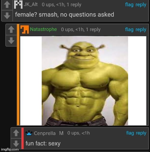 ㅤ | image tagged in female smash x fun fact sexy | made w/ Imgflip meme maker