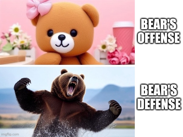 Bear's Offense vs defense | BEAR'S
OFFENSE; BEAR'S
DEFENSE | image tagged in chicago bears,nfl,nfc,north | made w/ Imgflip meme maker