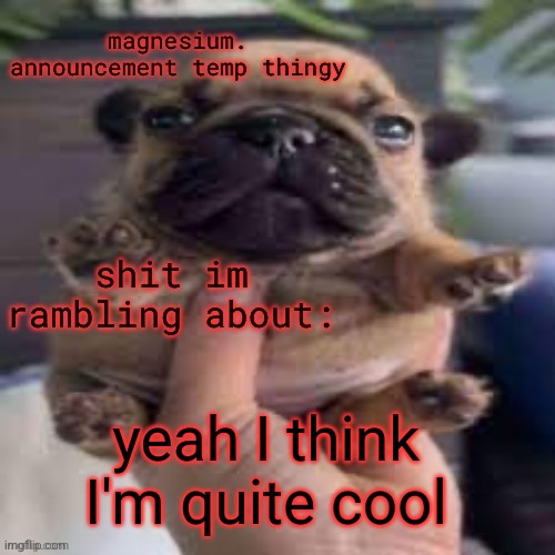 pug temp | yeah I think I'm quite cool | image tagged in pug temp | made w/ Imgflip meme maker