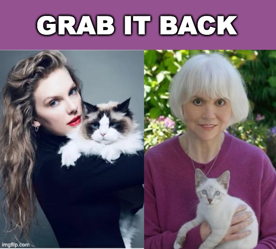 The cat ladies are speaking | GRAB IT BACK | image tagged in cat lady,elections,musicians,celebrity,taylor swift | made w/ Imgflip meme maker