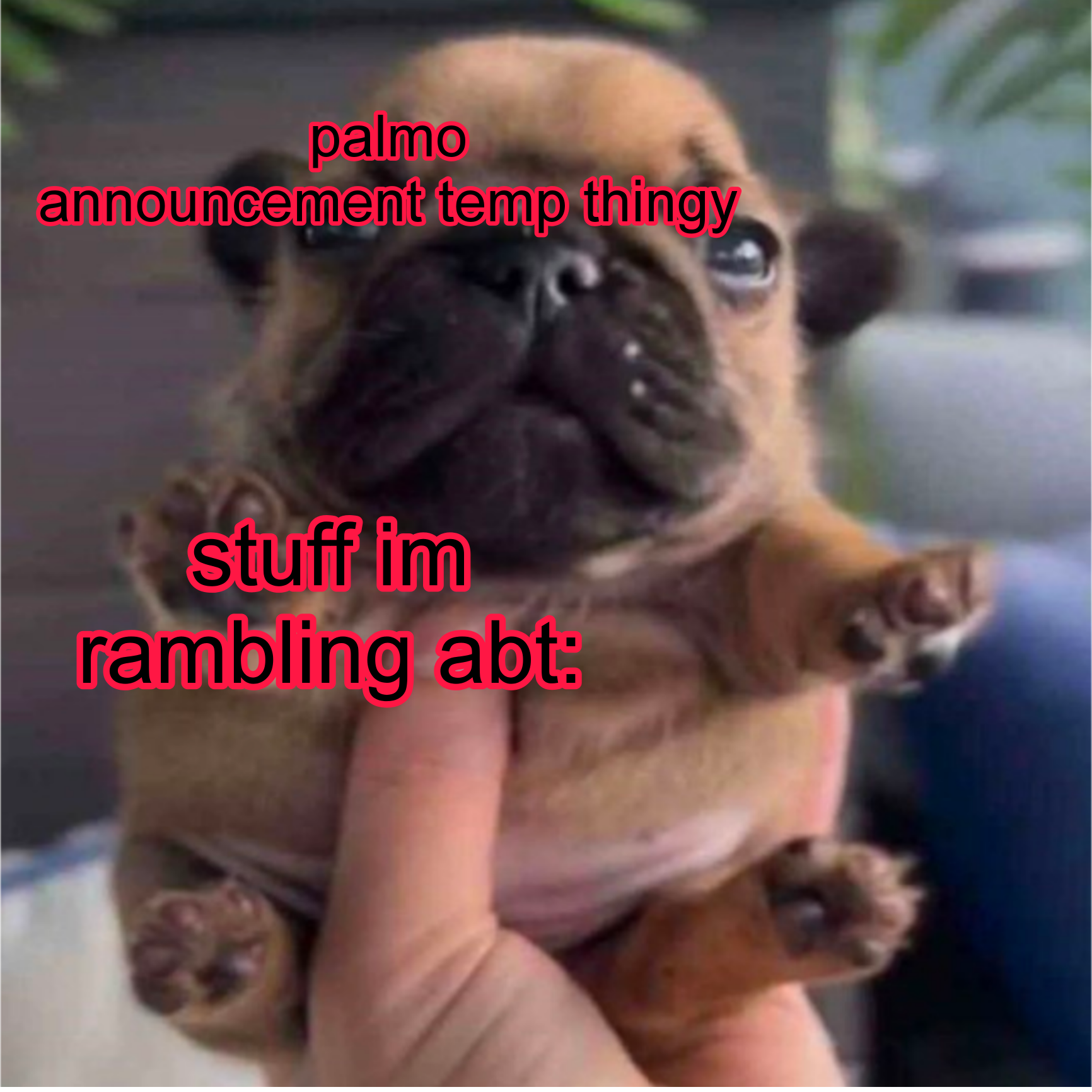 Pug temp Blank Meme Template