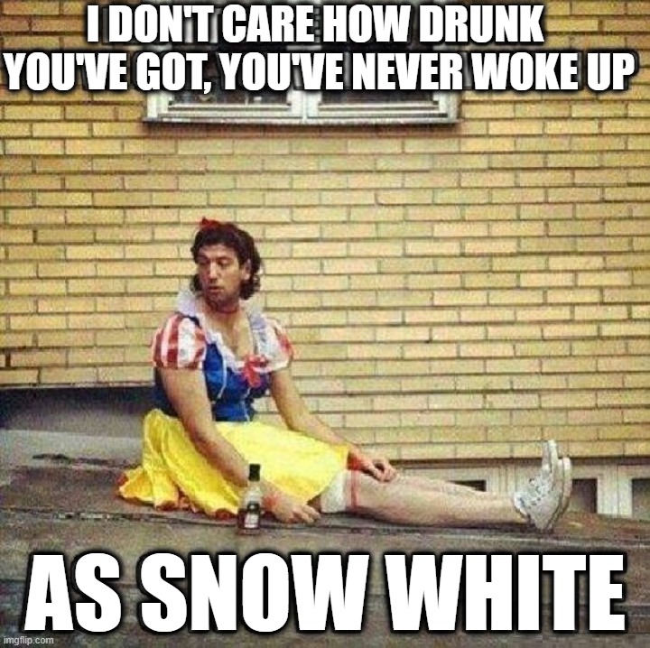 I DON'T CARE HOW DRUNK 
YOU'VE GOT, YOU'VE NEVER WOKE UP; AS SNOW WHITE | image tagged in drunk | made w/ Imgflip meme maker